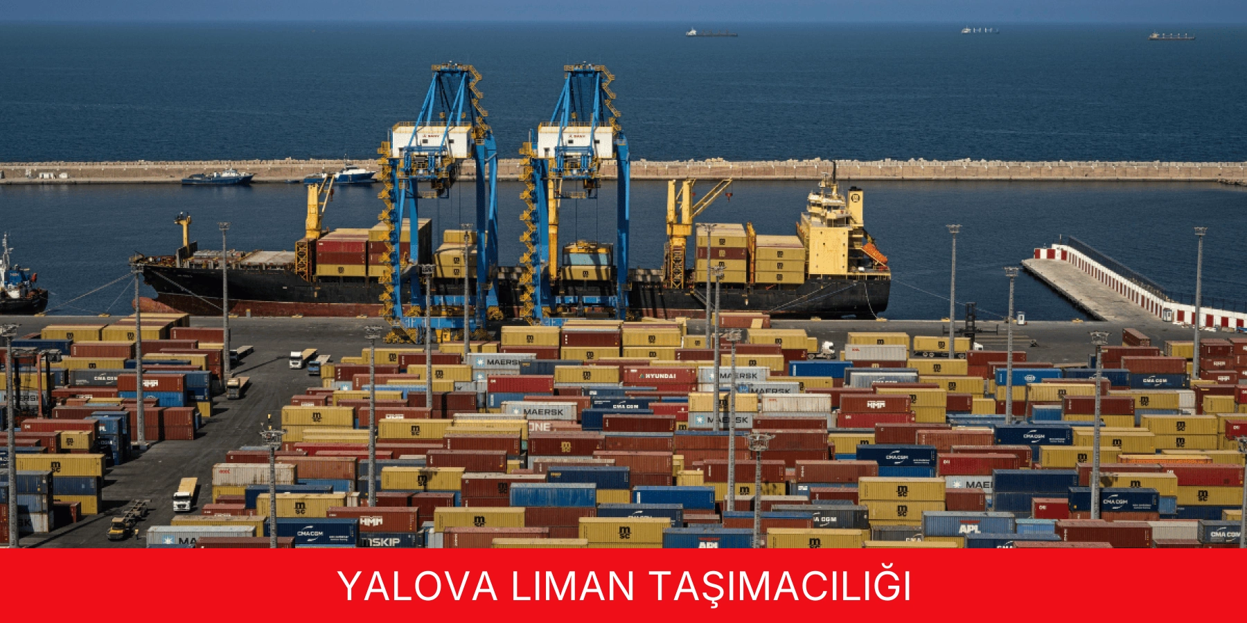 Liman Taşımacılığı